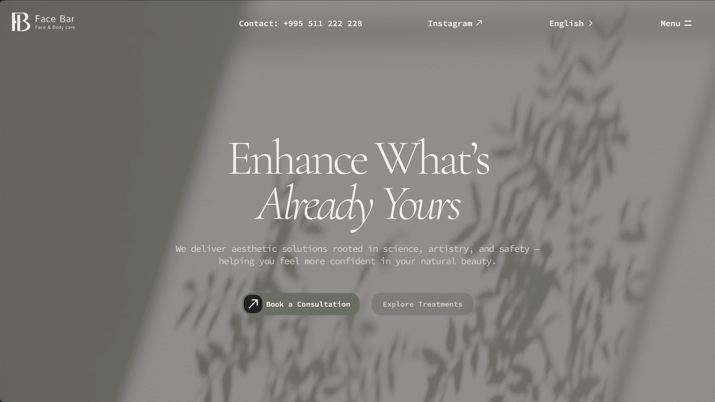 FaceBar screenshot 1